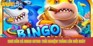 ban ca bingo sut88