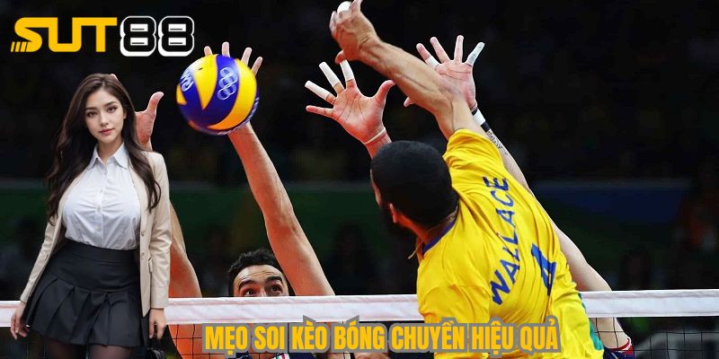 Bật mí thủ thuật hay khi soi kèo cá cược bóng chuyền Sut88