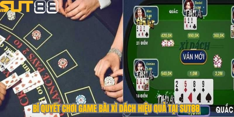 Bí quyết chơi game bài Xì Dách hiệu quả tại Sut88