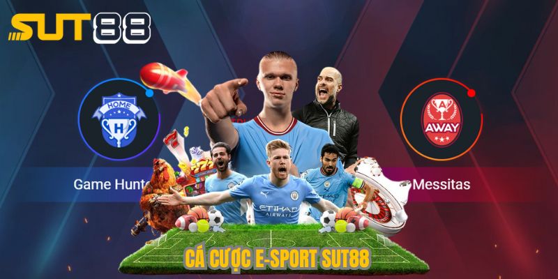 ca cuoc e sport sut88