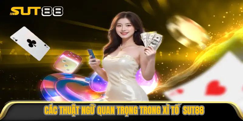 Các thuật ngữ quan trọng trong Xì Tố