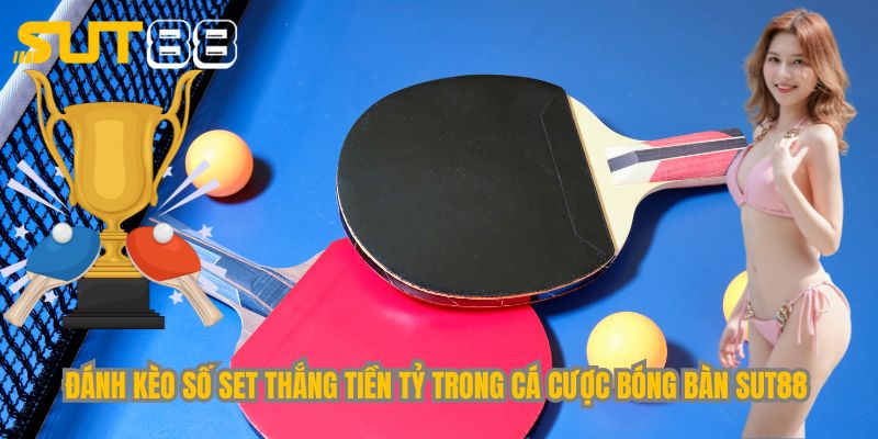 Đánh kèo số set thắng tiền tỷ trong cá cược bóng bàn Sut88