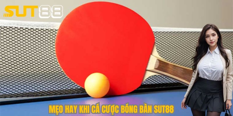 Hàng loạt bí quyết hay khi cá cược bóng bàn Sut88