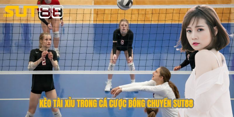 Kèo tài xỉu trong cá cược bóng chuyền Sut88