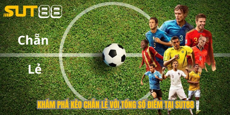 Khám phá kèo chẵn lẻ với tổng số điểm tại Sut88