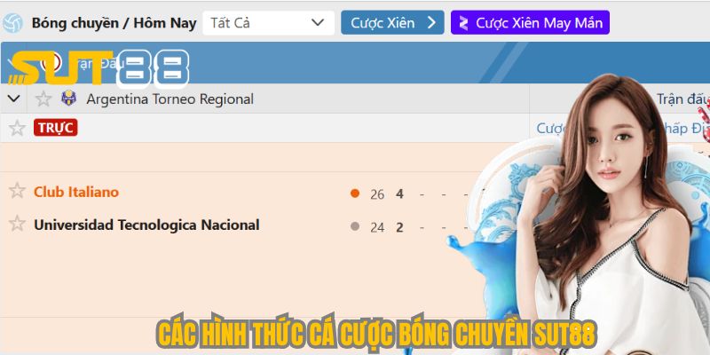 Khám phá một vài thể loại cá cược bóng chuyền Sut88