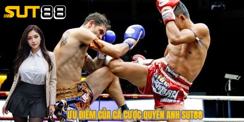 Liệt kê các điểm nổi bật cả cá cược quyền anh Sut88