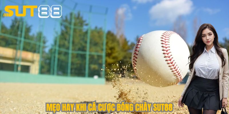 Một vài bí quyết hay khi cá cược bóng chày Sut88