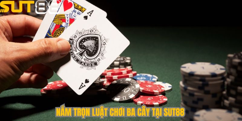 Nắm trọn luật chơi 3 Cây tại Sut88