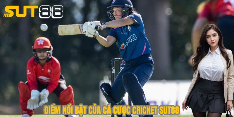 Những điểm nổi bật trong cá cược Cricket SUT88