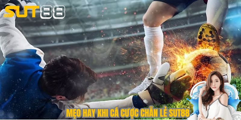 Tổng hợp mẹo hay nên sử dụng khi cá cược chẵn lẻ Sut88