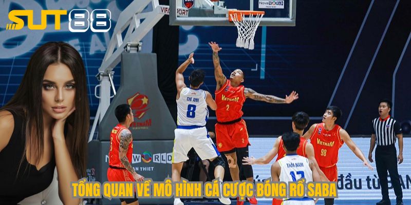 Tổng quan về mô hình cá cược bóng rổ Saba