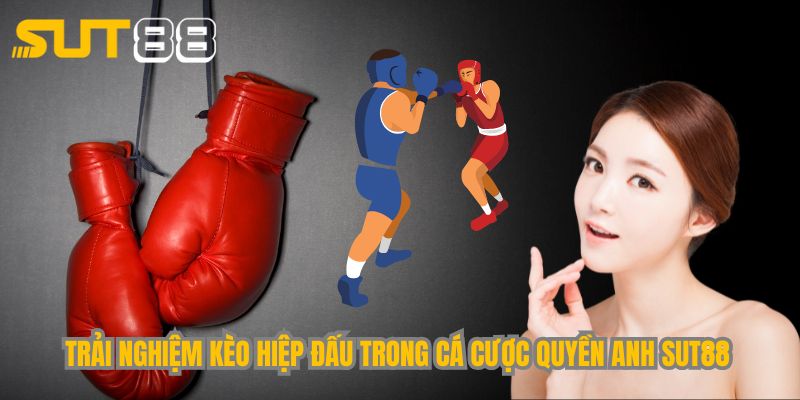 Trải nghiệm kèo hiệp đấu trong cá cược quyền anh Sut88